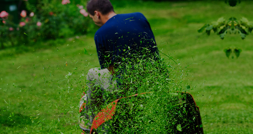 Cholet Services jardinage particulier